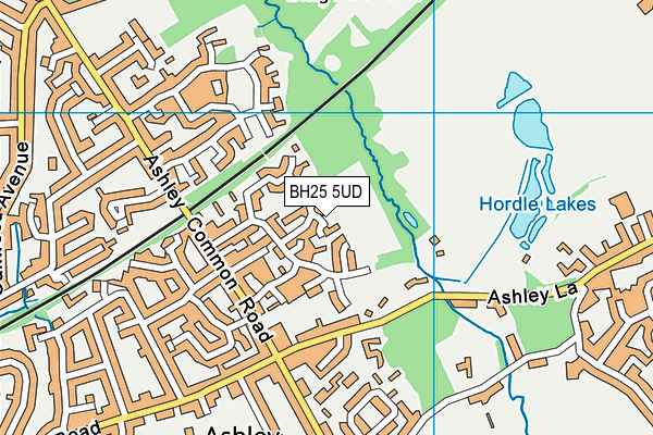 BH25 5UD map - OS VectorMap District (Ordnance Survey)