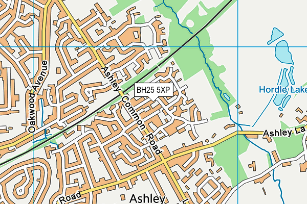BH25 5XP map - OS VectorMap District (Ordnance Survey)