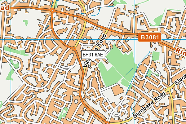 BH31 6AE map - OS VectorMap District (Ordnance Survey)