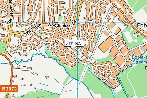 BH31 6BS map - OS VectorMap District (Ordnance Survey)