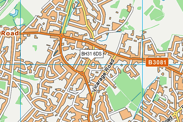 BH31 6DS map - OS VectorMap District (Ordnance Survey)