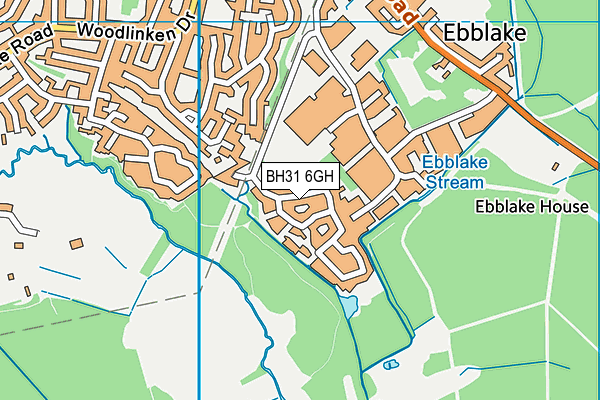 BH31 6GH map - OS VectorMap District (Ordnance Survey)