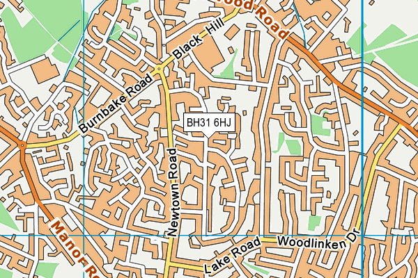BH31 6HJ map - OS VectorMap District (Ordnance Survey)