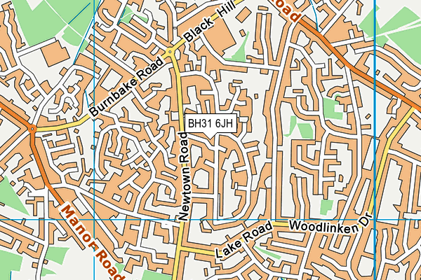 BH31 6JH map - OS VectorMap District (Ordnance Survey)