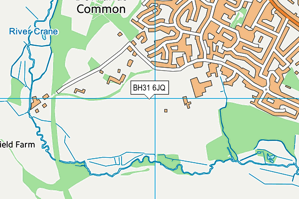 BH31 6JQ map - OS VectorMap District (Ordnance Survey)