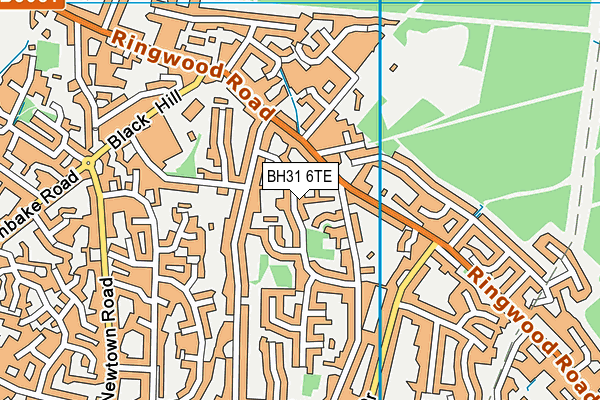BH31 6TE map - OS VectorMap District (Ordnance Survey)