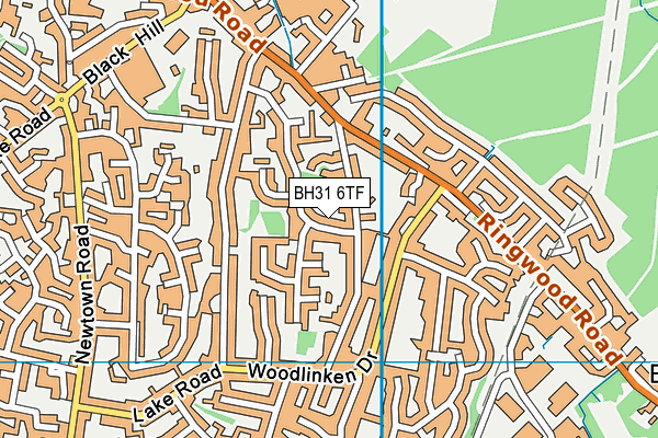 BH31 6TF map - OS VectorMap District (Ordnance Survey)