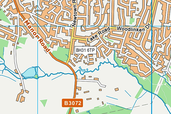 BH31 6TP map - OS VectorMap District (Ordnance Survey)