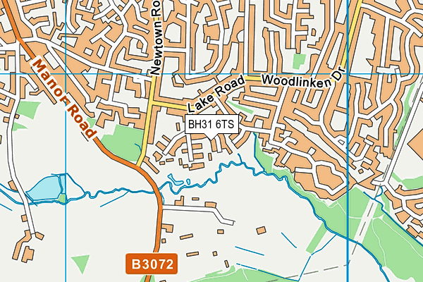 BH31 6TS map - OS VectorMap District (Ordnance Survey)