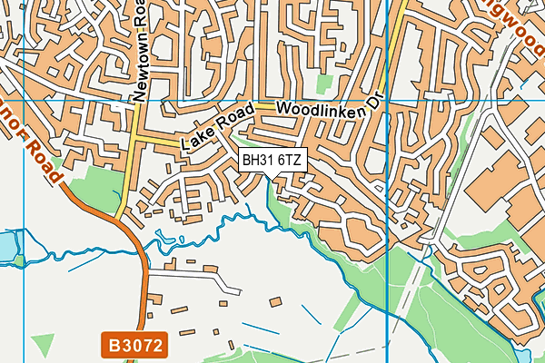 BH31 6TZ map - OS VectorMap District (Ordnance Survey)