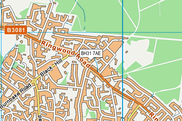 BH31 7AE map - OS VectorMap District (Ordnance Survey)