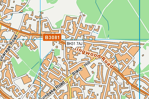 BH31 7AJ map - OS VectorMap District (Ordnance Survey)