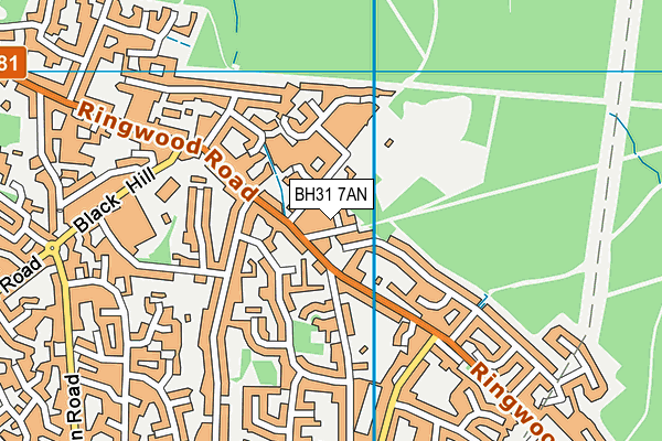BH31 7AN map - OS VectorMap District (Ordnance Survey)