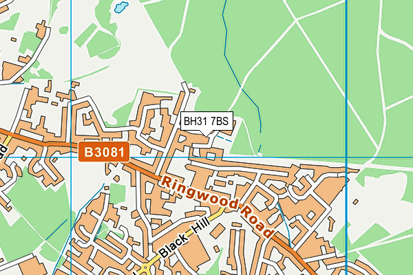 BH31 7BS map - OS VectorMap District (Ordnance Survey)