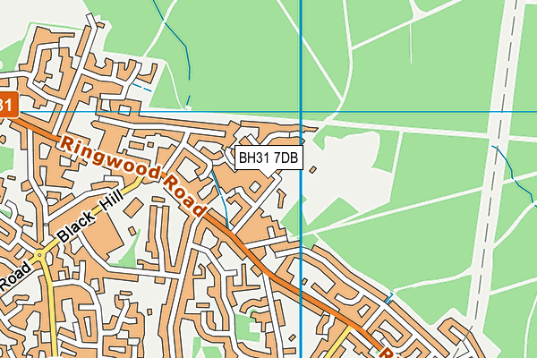 BH31 7DB map - OS VectorMap District (Ordnance Survey)