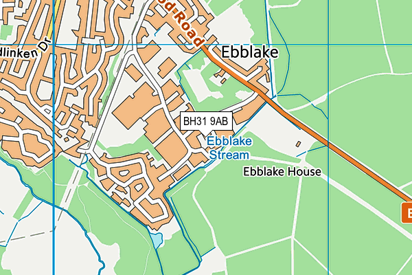 BH31 9AB map - OS VectorMap District (Ordnance Survey)