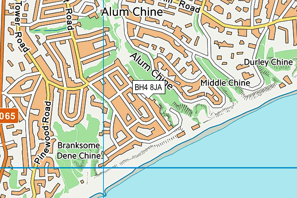BH4 8JA map - OS VectorMap District (Ordnance Survey)