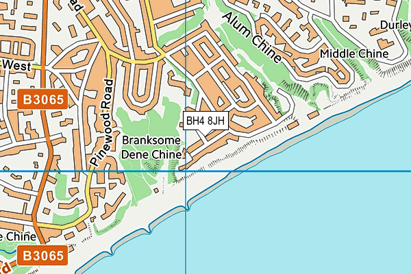 BH4 8JH map - OS VectorMap District (Ordnance Survey)