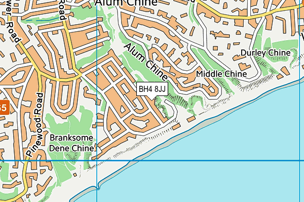 BH4 8JJ map - OS VectorMap District (Ordnance Survey)