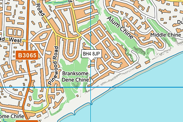 BH4 8JP map - OS VectorMap District (Ordnance Survey)