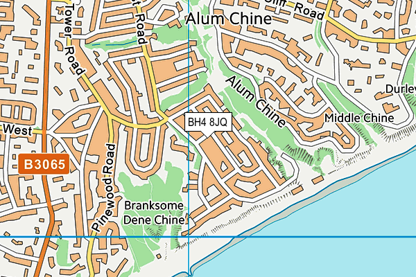 BH4 8JQ map - OS VectorMap District (Ordnance Survey)