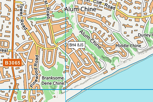 BH4 8JS map - OS VectorMap District (Ordnance Survey)