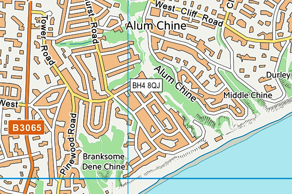 BH4 8QJ map - OS VectorMap District (Ordnance Survey)