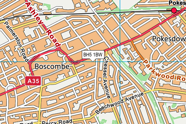 BH5 1BW map - OS VectorMap District (Ordnance Survey)