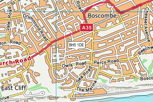 BH5 1DE map - OS VectorMap District (Ordnance Survey)