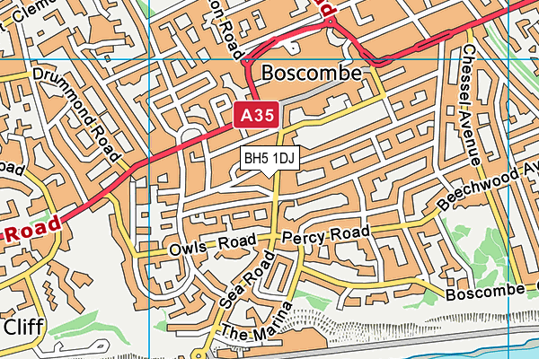 BH5 1DJ map - OS VectorMap District (Ordnance Survey)