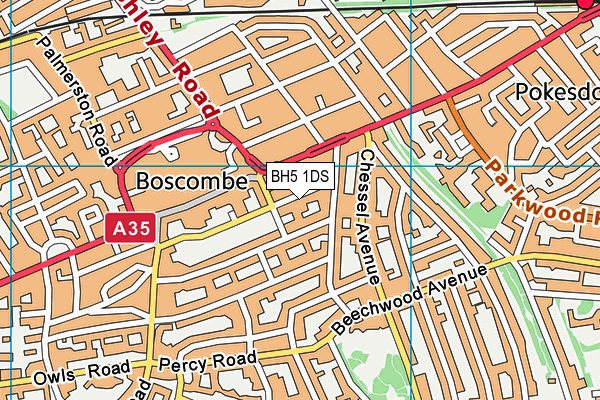 BH5 1DS map - OS VectorMap District (Ordnance Survey)