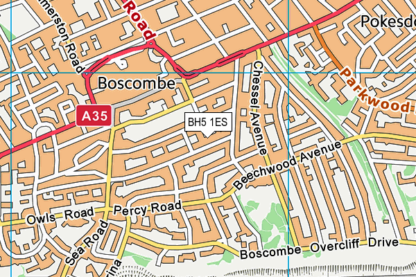 BH5 1ES map - OS VectorMap District (Ordnance Survey)