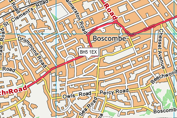 BH5 1EX map - OS VectorMap District (Ordnance Survey)