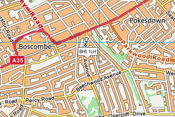 BH5 1LH map - OS VectorMap District (Ordnance Survey)