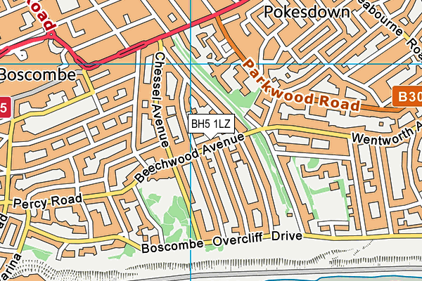 BH5 1LZ map - OS VectorMap District (Ordnance Survey)