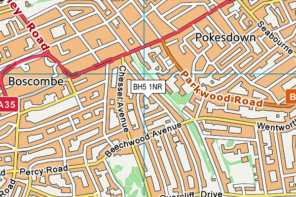 BH5 1NR map - OS VectorMap District (Ordnance Survey)