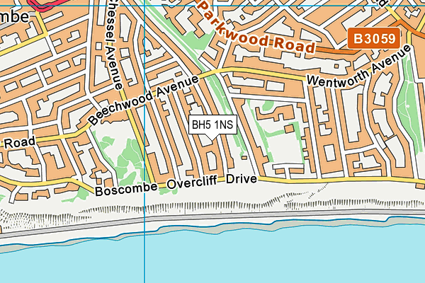 BH5 1NS map - OS VectorMap District (Ordnance Survey)
