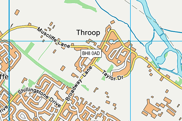 BH8 0AD map - OS VectorMap District (Ordnance Survey)
