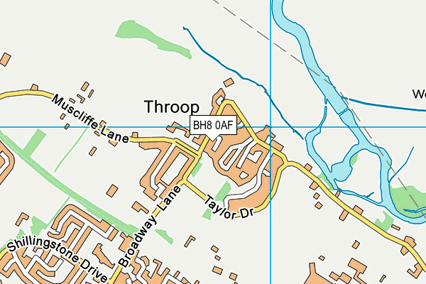 Map of WILLOW COURT (THROOP) LIMITED at district scale