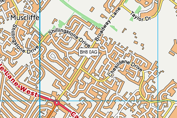 BH8 0AG map - OS VectorMap District (Ordnance Survey)