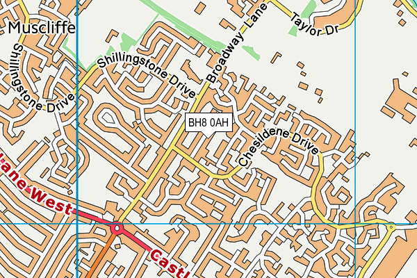 BH8 0AH map - OS VectorMap District (Ordnance Survey)