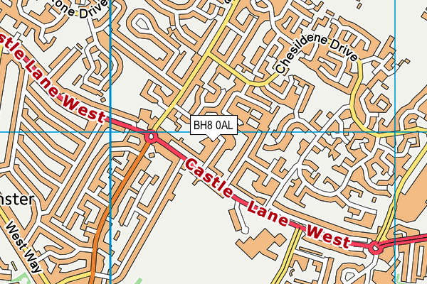 BH8 0AL map - OS VectorMap District (Ordnance Survey)