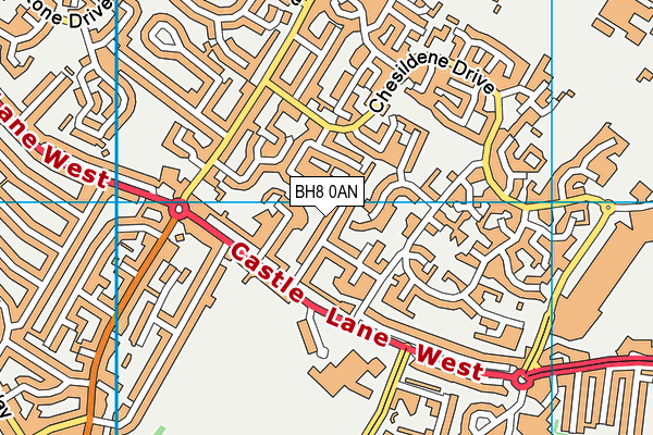 BH8 0AN map - OS VectorMap District (Ordnance Survey)