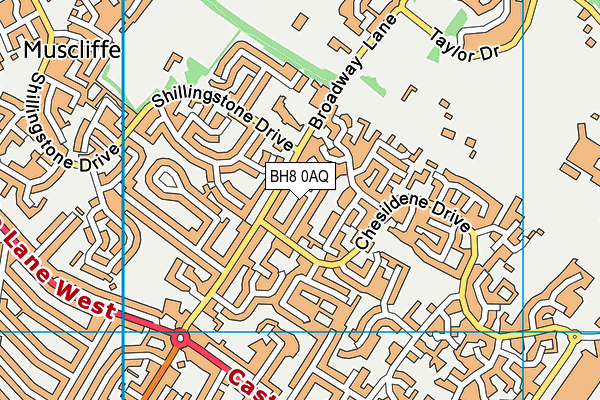BH8 0AQ map - OS VectorMap District (Ordnance Survey)