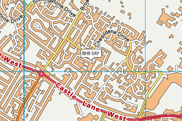 BH8 0AY map - OS VectorMap District (Ordnance Survey)