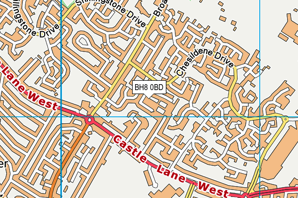 BH8 0BD map - OS VectorMap District (Ordnance Survey)