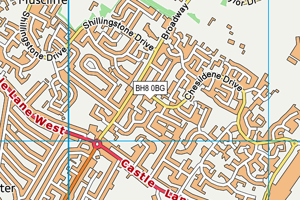 BH8 0BG map - OS VectorMap District (Ordnance Survey)