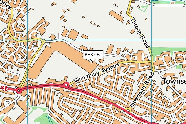 BH8 0BJ map - OS VectorMap District (Ordnance Survey)