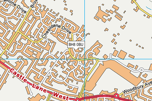BH8 0BU map - OS VectorMap District (Ordnance Survey)