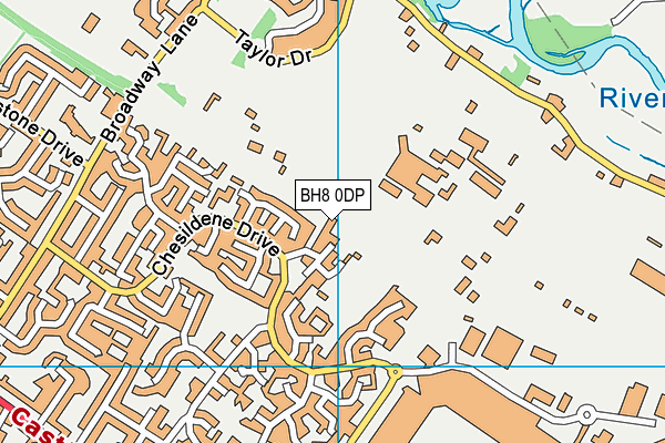 BH8 0DP map - OS VectorMap District (Ordnance Survey)